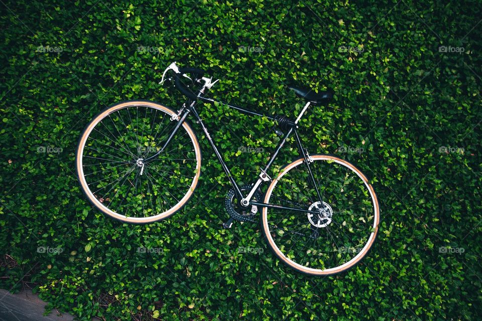 bicycle in the garden