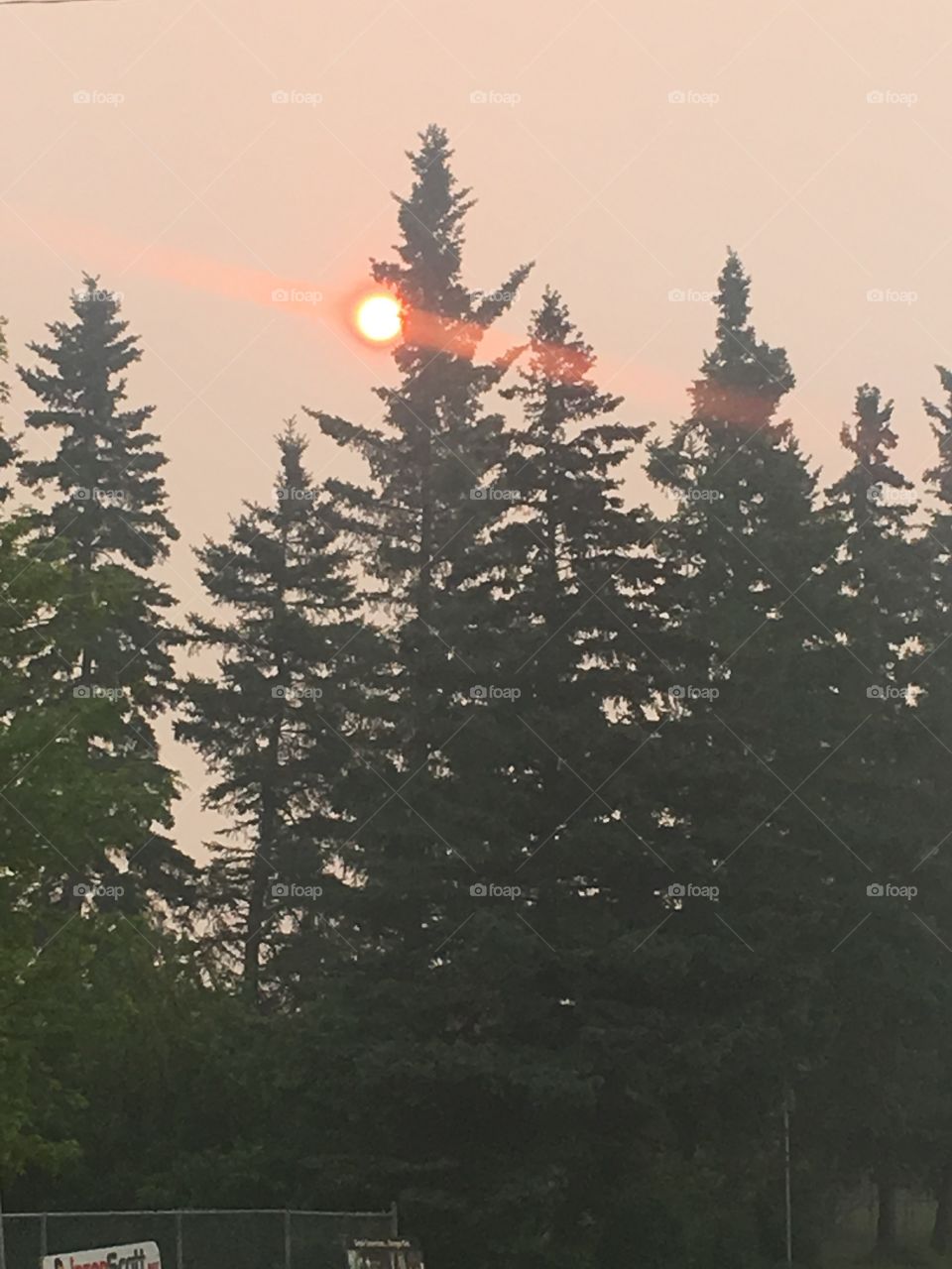 Sun through the smoke 