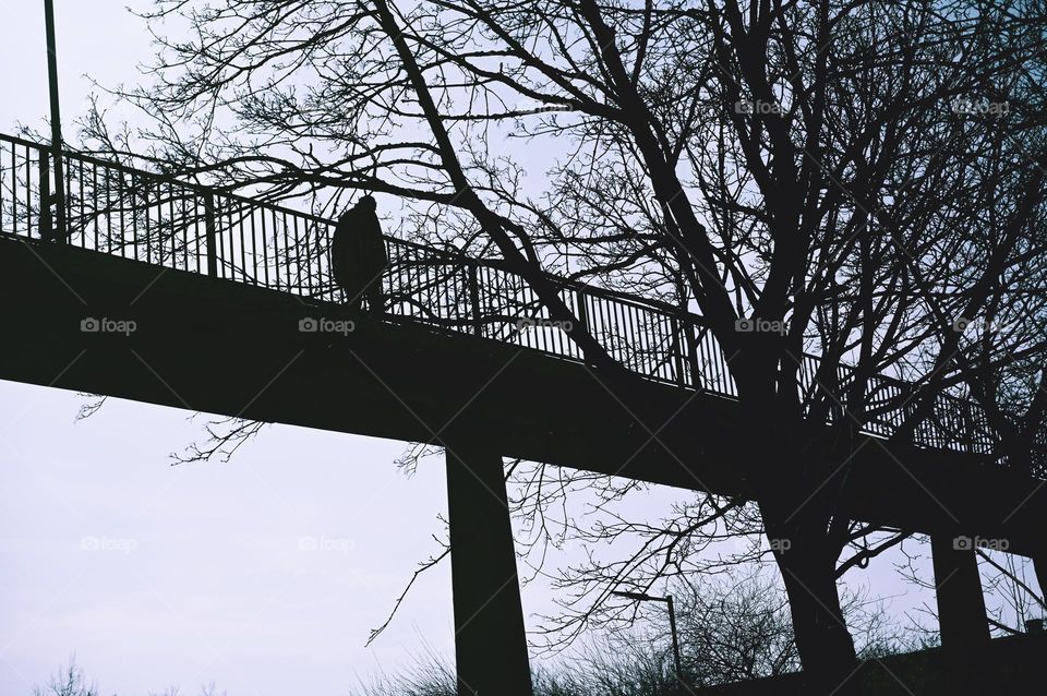 silhouette on the bridge