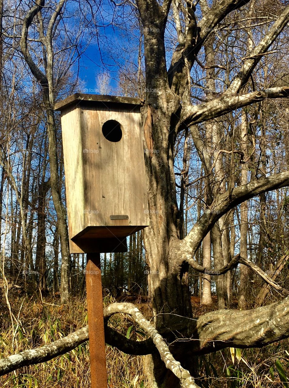 Birdhouse on the outskirts of Yates Mill Park