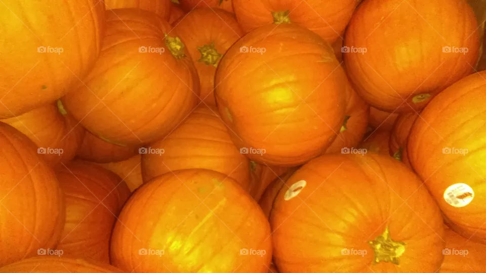 pumpkins