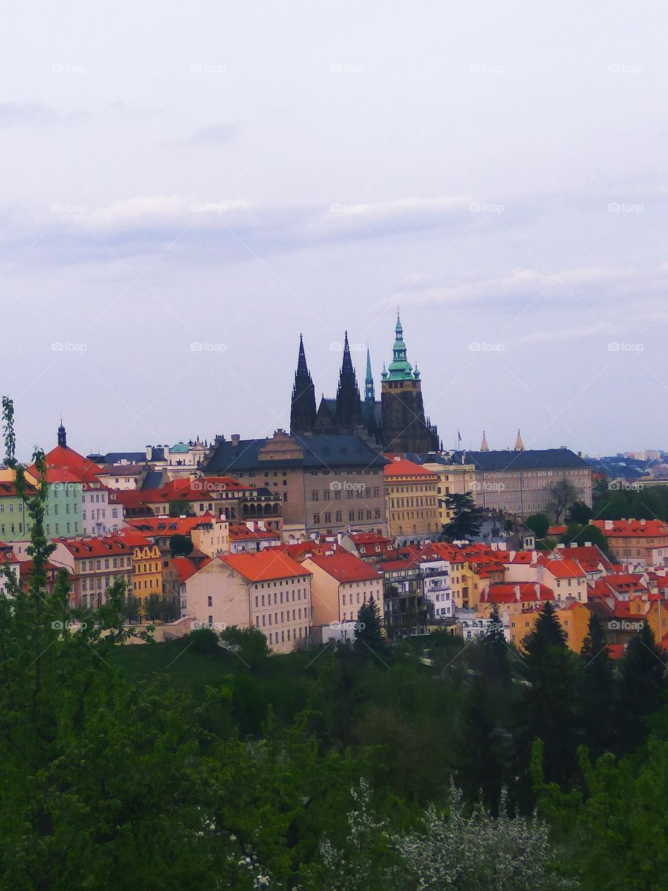 The Prague Castle and St Vitus Cathedral