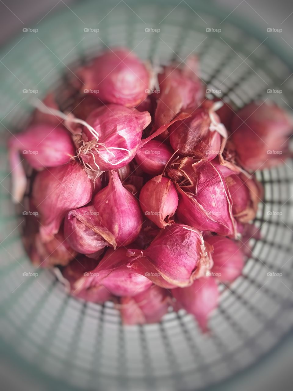 Red onion