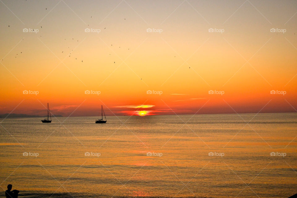 beach italy sunset birds by jockec4
