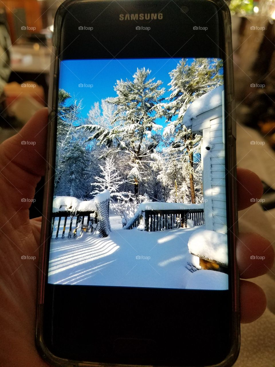 Held Cell phone with photo of a snowstorm scene of deck & woods with trees covered in snow.