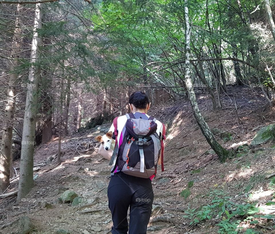 Walking on mountain path