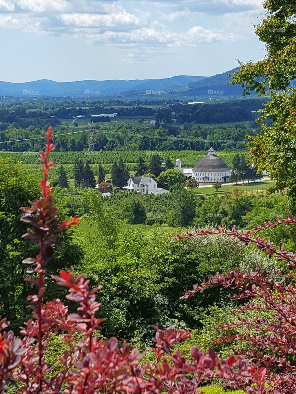 view from the hilltop