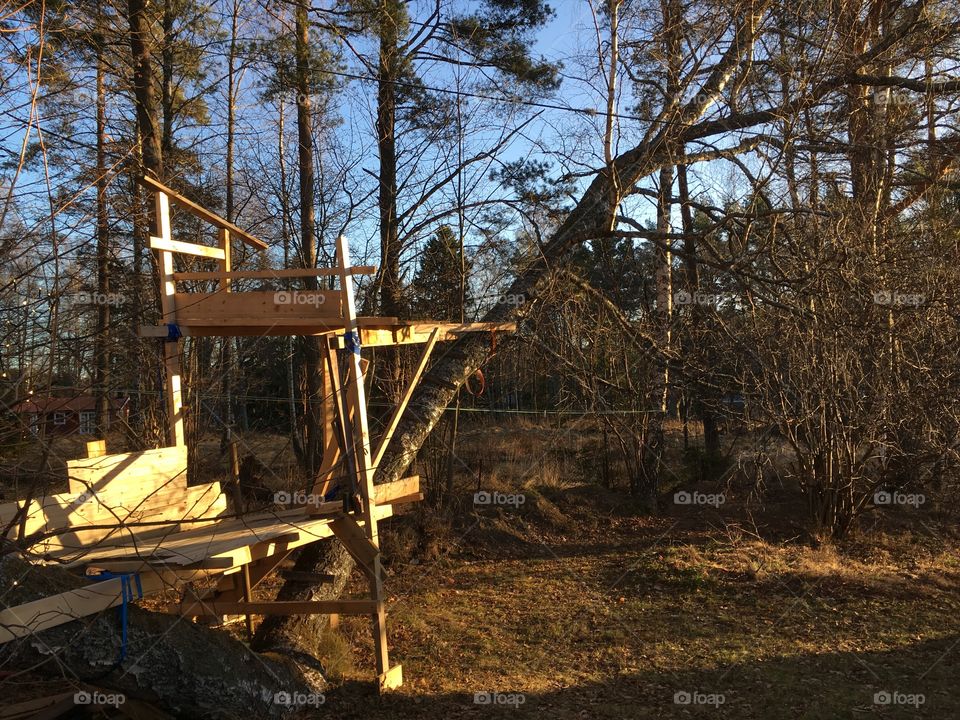 Treehouse on crooked tree