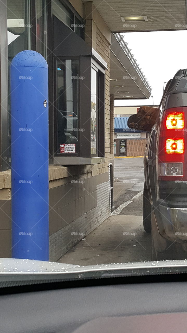 commuting viewpoints