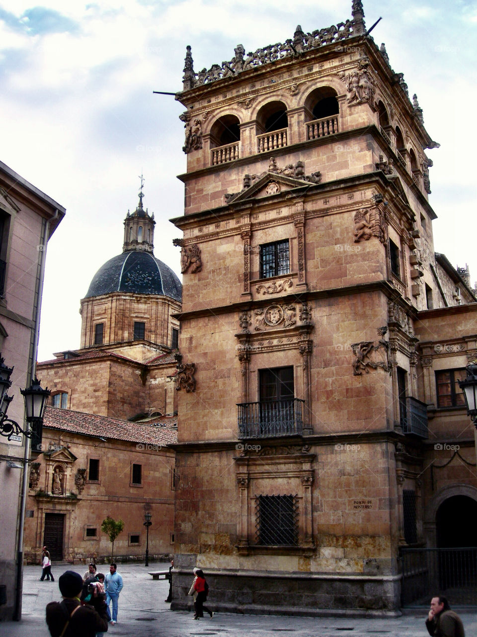 Palacio de Monterrey. Palacio de Monterrey (Salamanca - Spain)