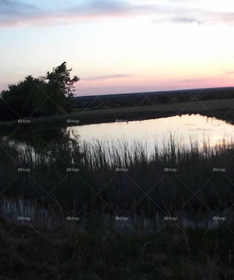 Sunset on the farm in Texas 