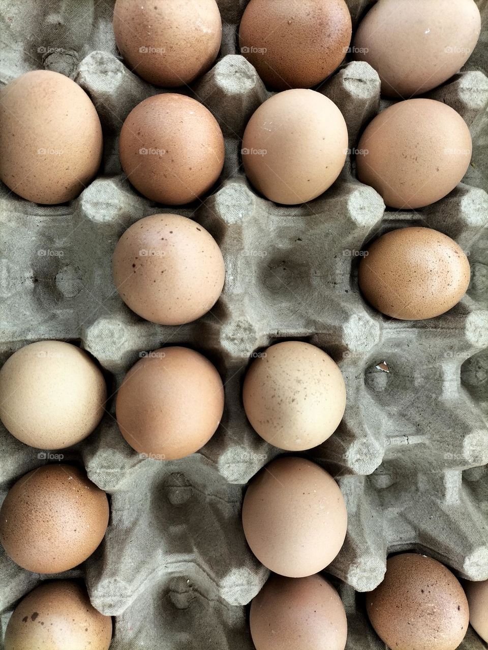 Abstract image of a chicken egg for background