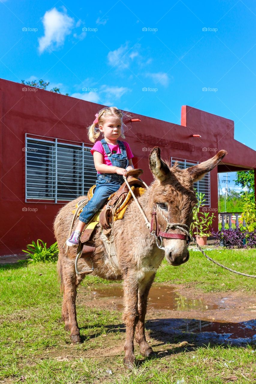 Child riding a donkey