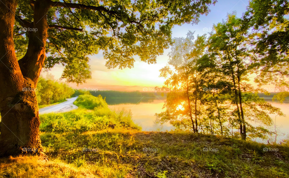 Colorful and dramatic sunrise or sunset sky over a forest lake, with reflections in the water