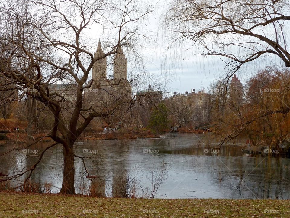 Lake at Central Park 