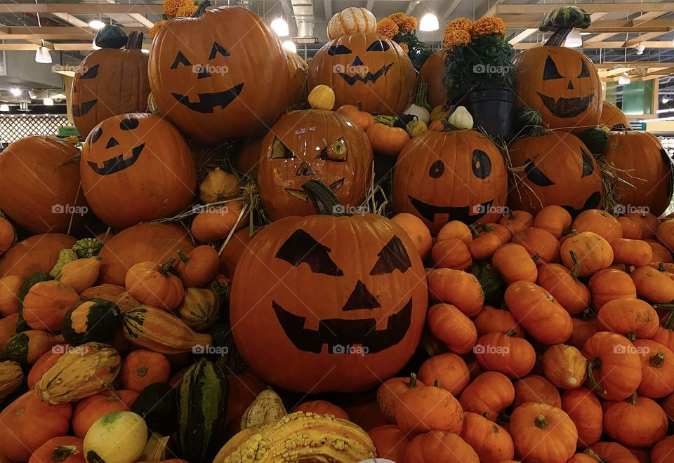Pumpkins in Halloween 