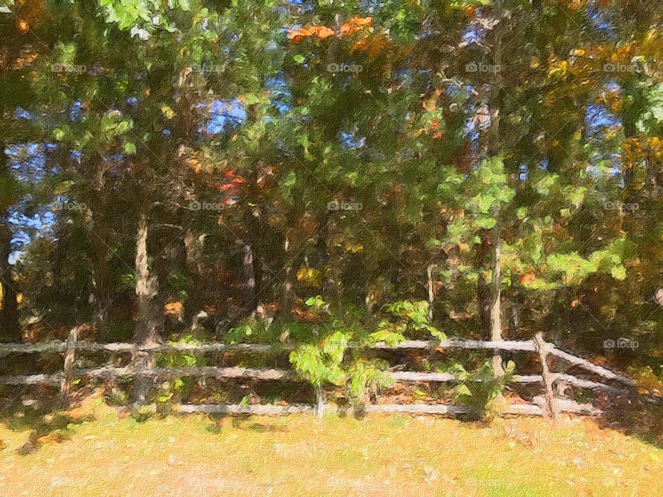 Photo of an old wooden fence in front of some trees at the start of autumn. Photo has a painting filter applied.