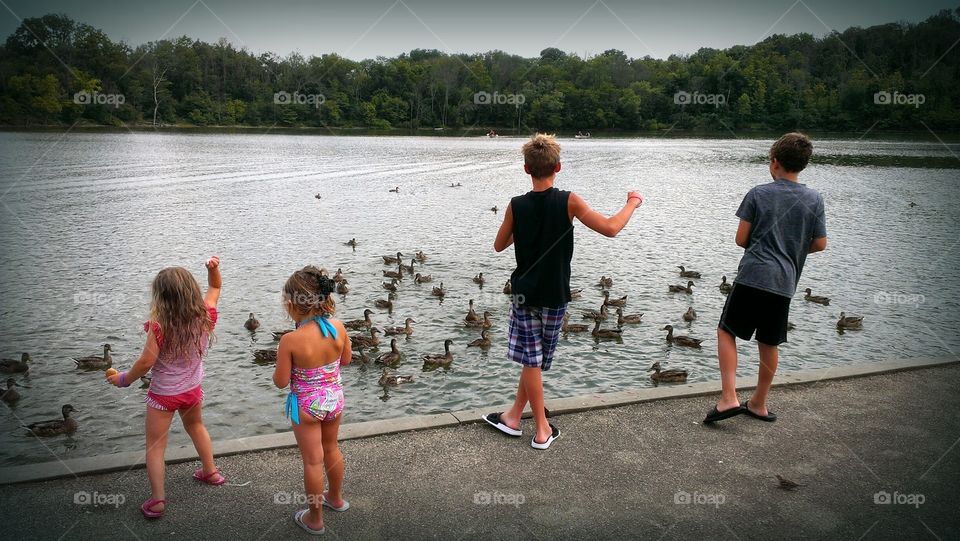 Feeding the Ducks