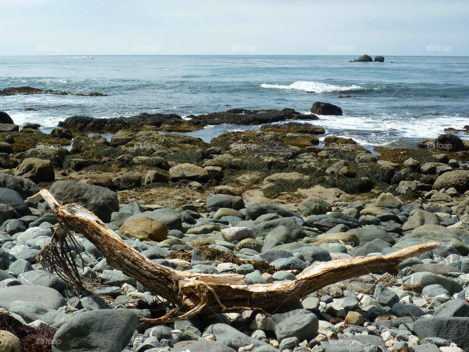 ocean tree rocks waves by kenglund