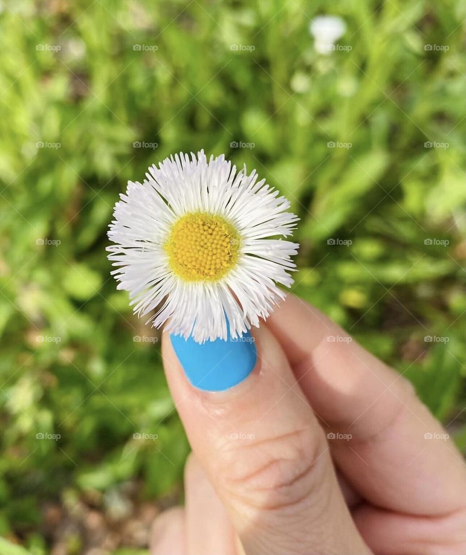 If you're like me, your fingernails may be one of the first things on your beauty-to-do list that goes by the wayside. My manicure always looks great after a visit to the nail salon.