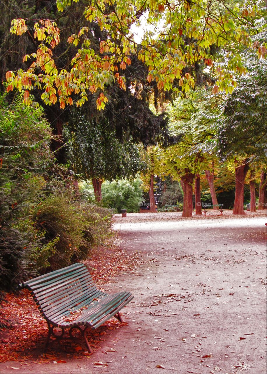 In the park