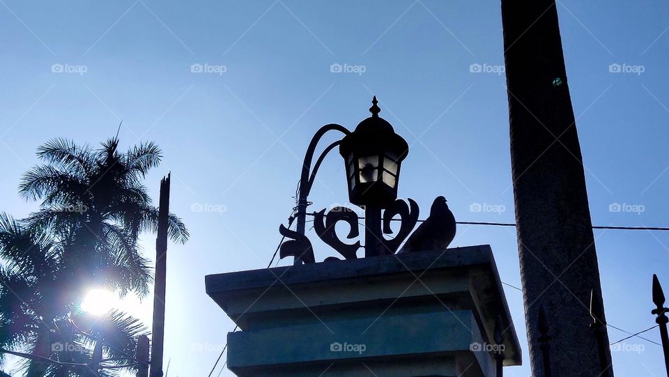 burung Merpati di atas lampu taman