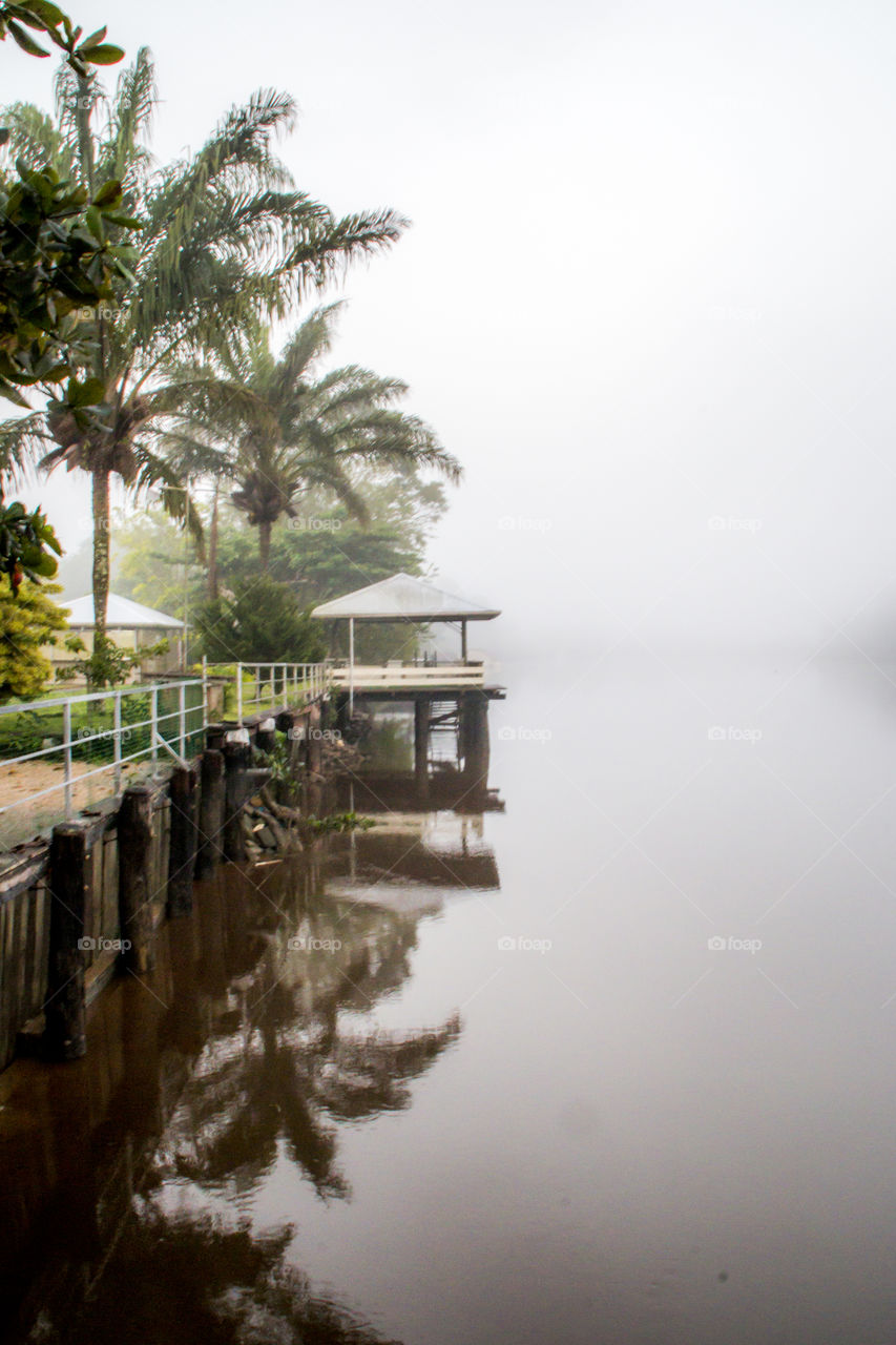 Foggy morning in the tropics