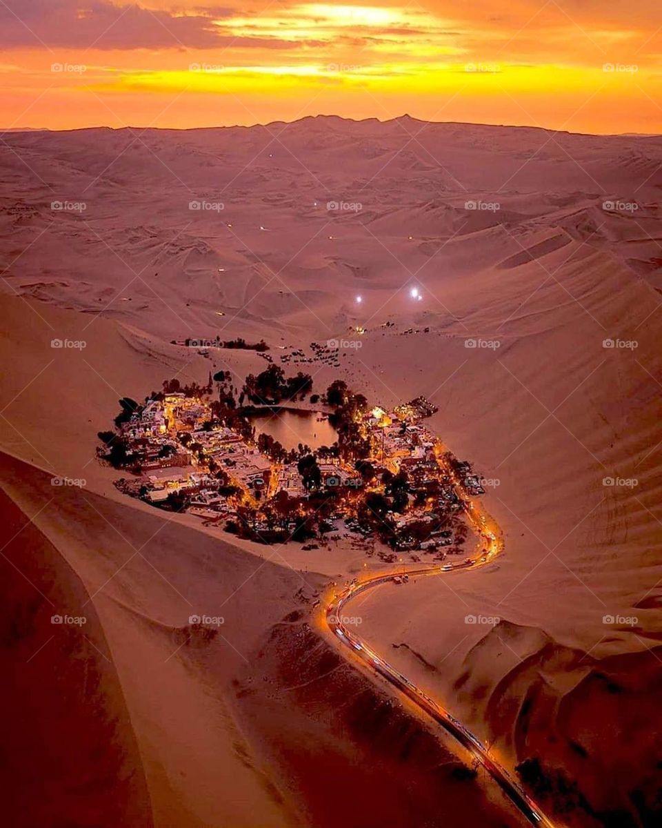 spring view at oasis in Peru desert