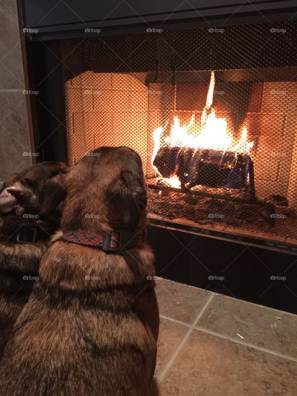 Relaxing by the fire