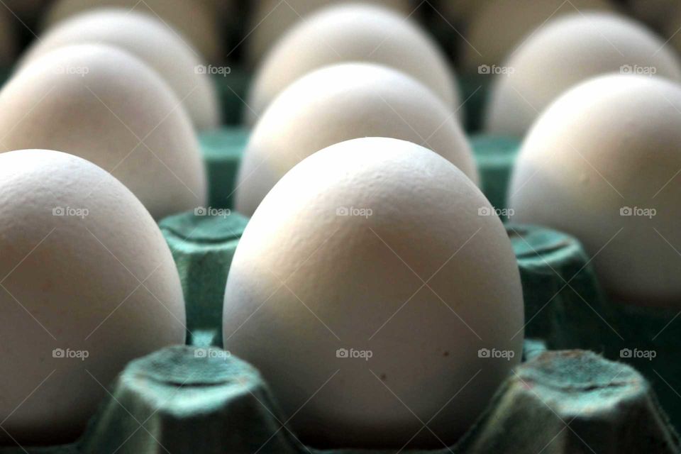 White eggs lined up