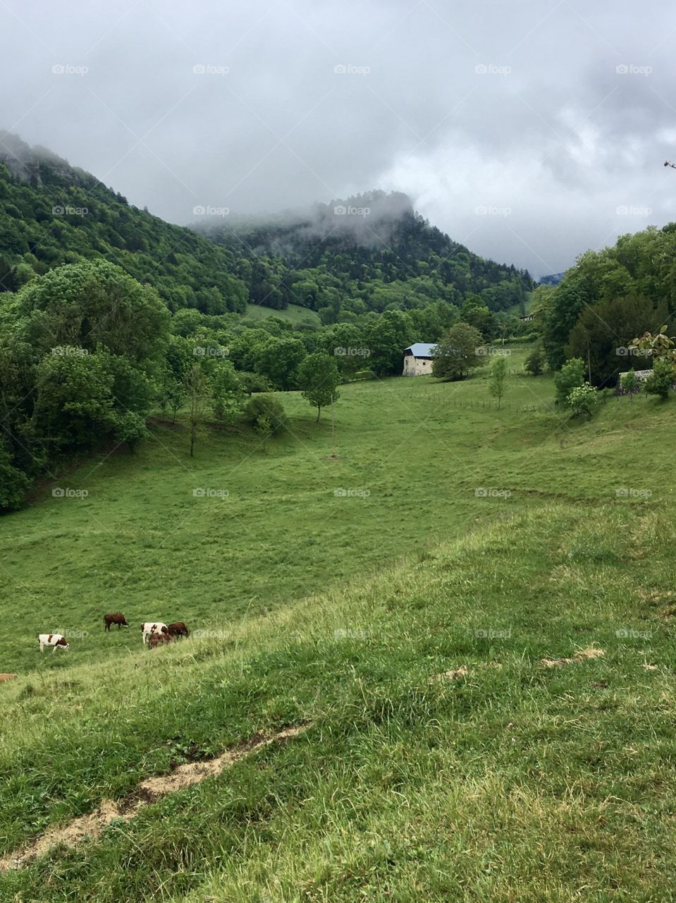 Cloudy countryside landscape