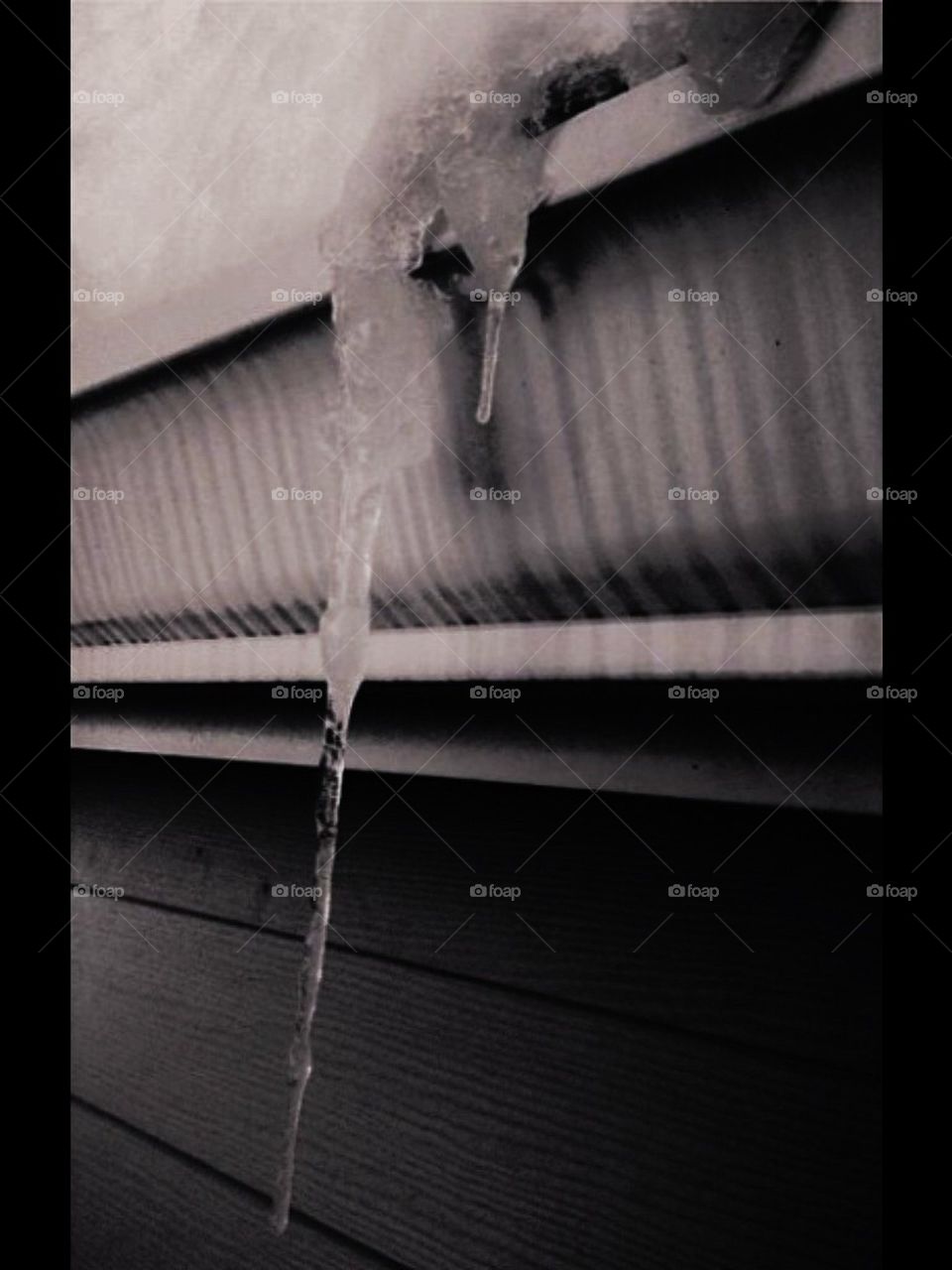 icicle