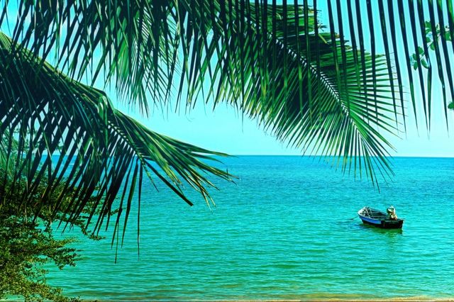tropical