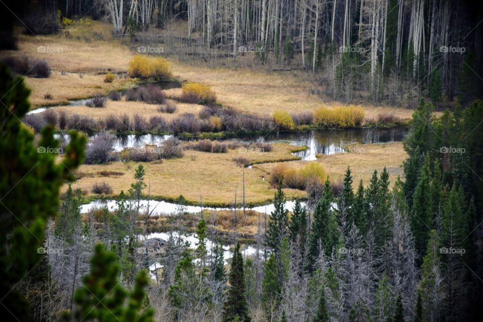 Fall in the Wyoming Mountains