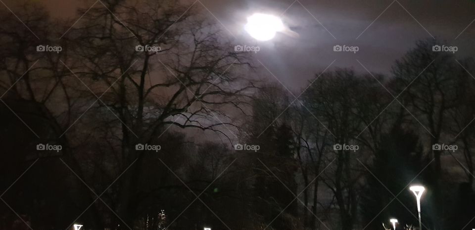 beautiful Oslo Norway