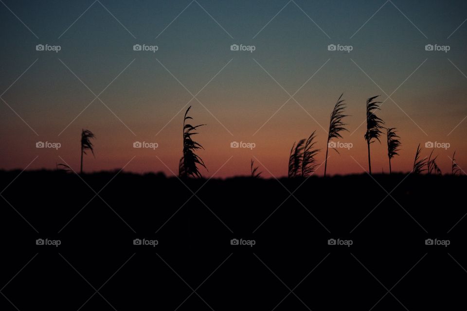 Sunset over Cape Cod