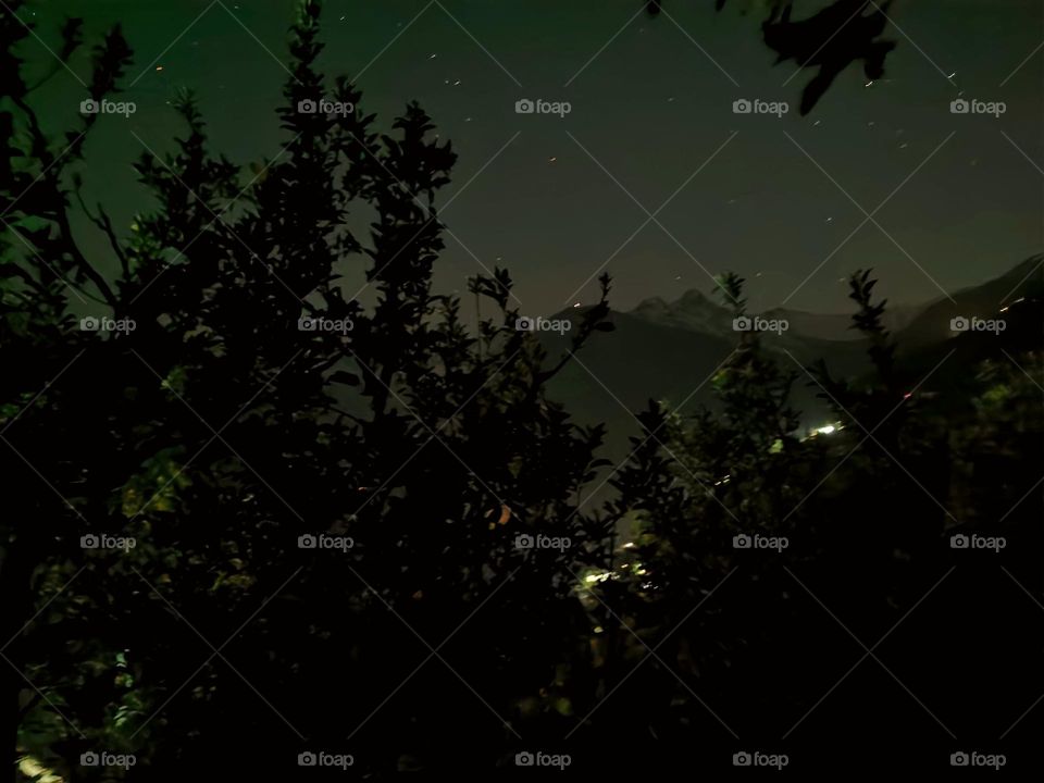 An evening in orchard