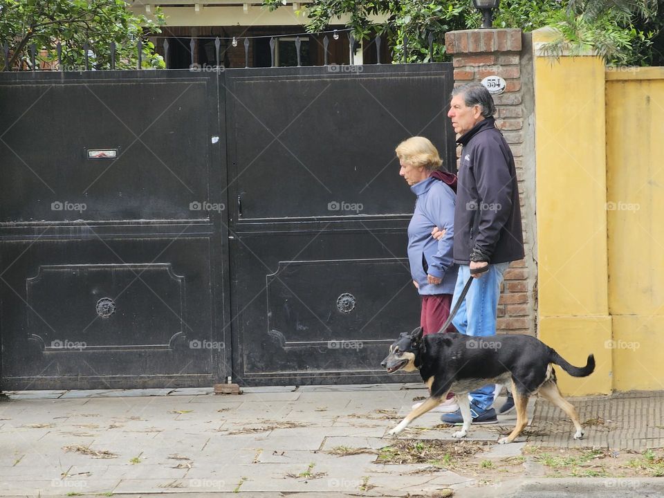 The cute elderly couple walks their dog together. He holds her arm. They love each other, and they give each other support. A sweet, tender gesture to last the rest of their lives.