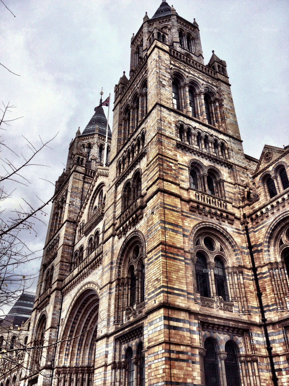 Natural History Museum. Natural History Museum (London - England)