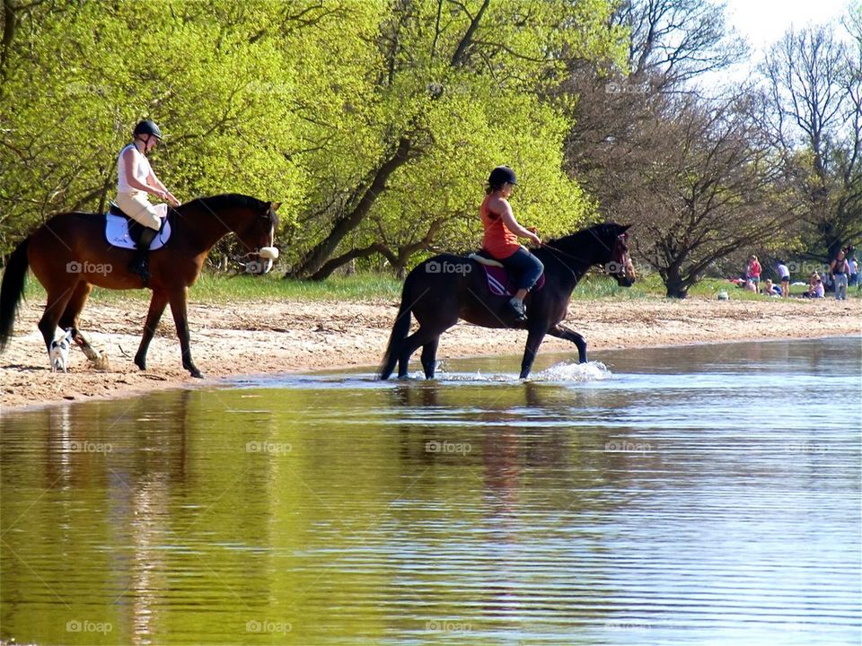 Riding horses in Sweden