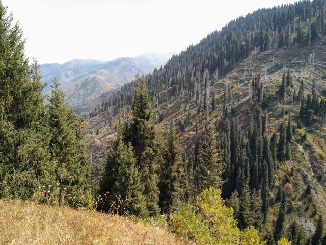 Kazakhstan. Mountains. Kok-zhaylyau