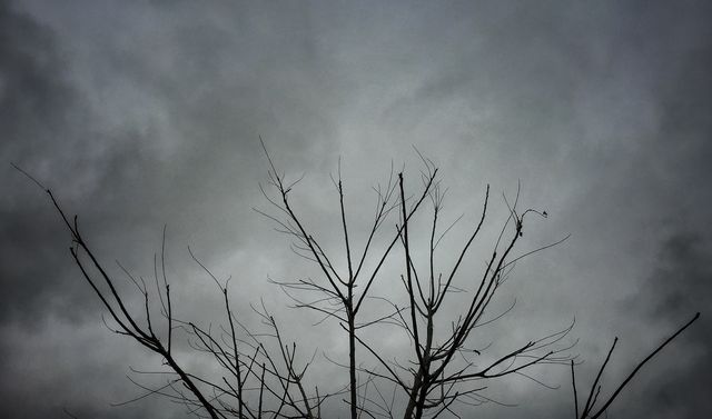 Stormy day