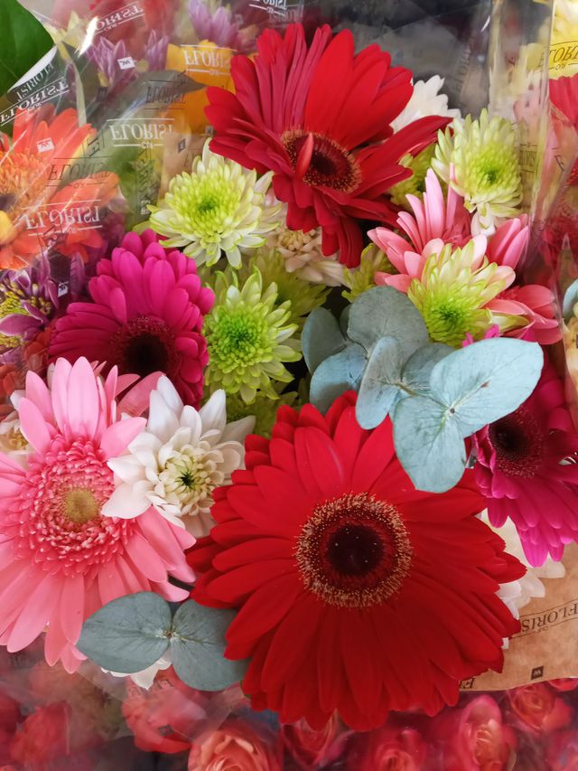 Flowers