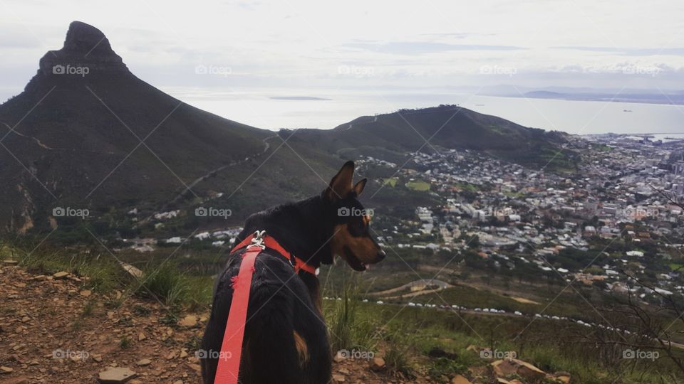 Looking out over Cape Town