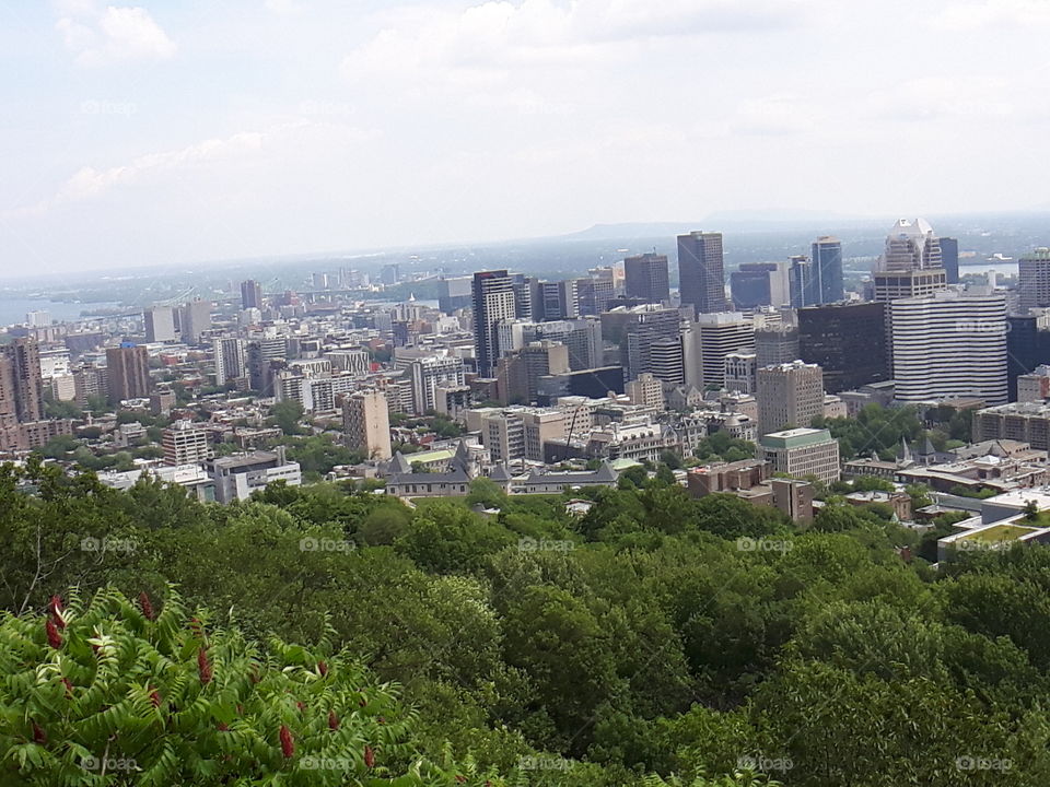 Mont Royal View,  Montreal