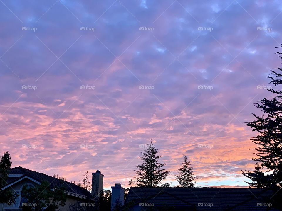 The sky in our front yard