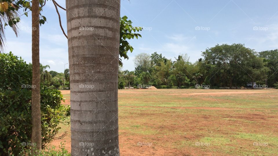 Beautiful playground with good environment 