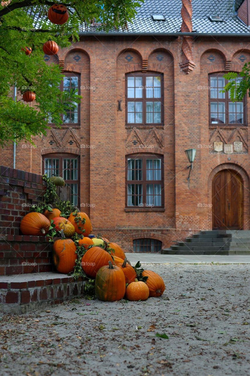 Decoration with pumpkins in the city