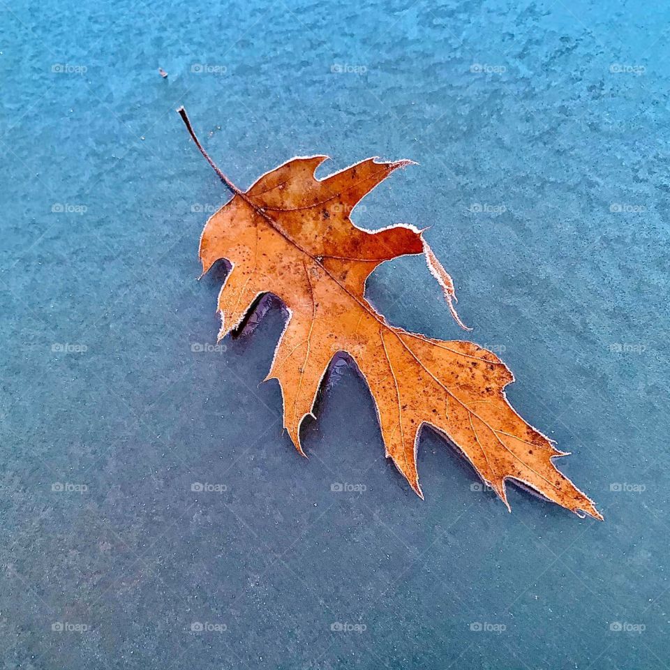 Dont upset if you fall,there is a big success behind it