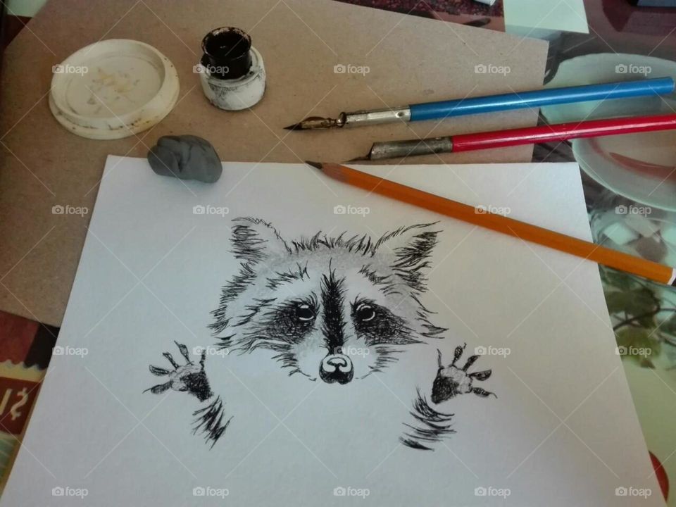 Figure raccoon